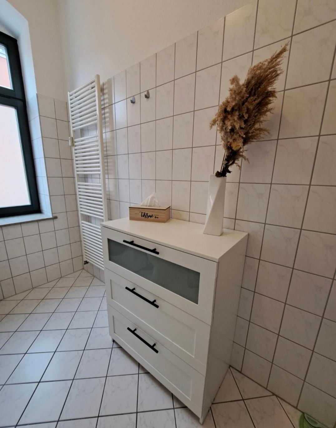 Stilvolle Ferienwohnung Dresden Eksteriør billede